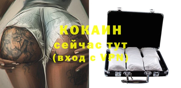 прущие грибы Богородск