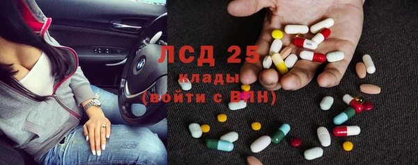 шишки Богданович