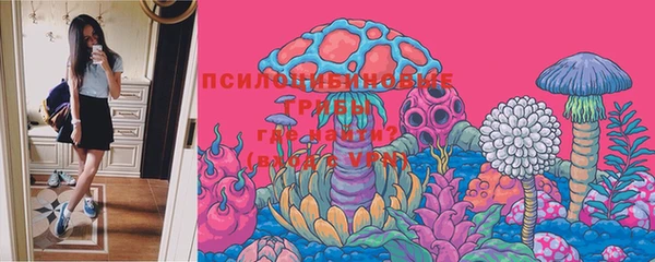 шишки Богданович