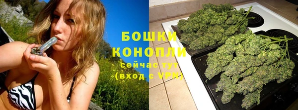 прущие грибы Богородск