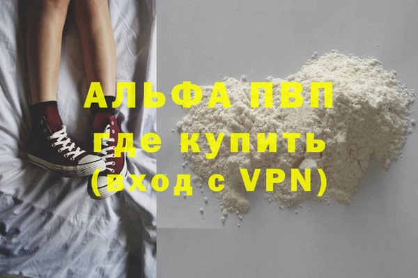 молекула духа Няндома