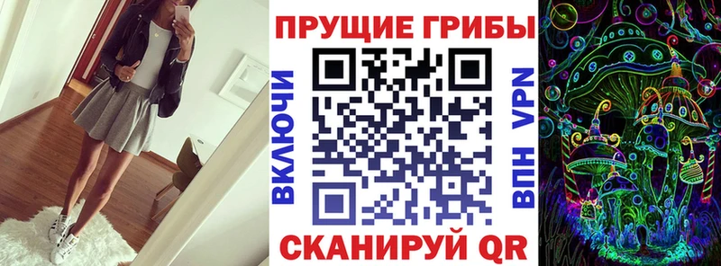 Псилоцибиновые грибы Psilocybine cubensis  Великий Устюг 