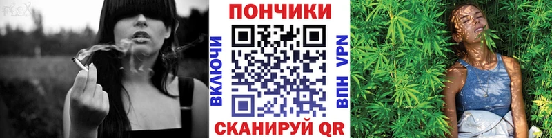 Шишки марихуана план Великий Устюг